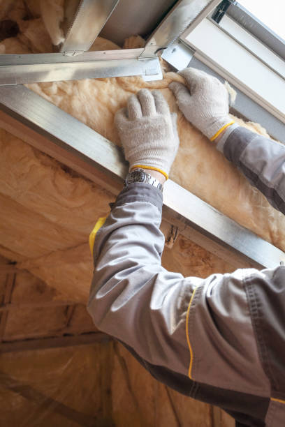 Professional Insulation Contractor in UT